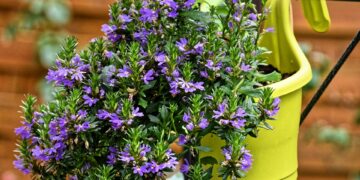 Growing Green: The Ultimate Guide to Sustainable Gardening Practices