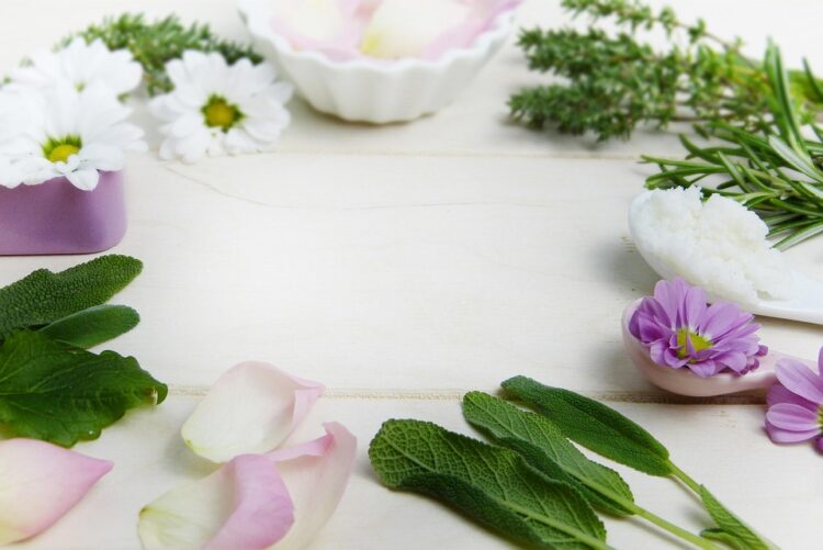 Mastering the Art of Plant Pruning: A Guide to Cultivating Healthy and Beautiful Gardens
