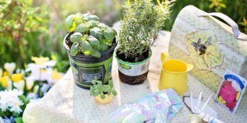 Unlocking the Secrets of Plant Light Needs: A Guide to Optimal Growth and Health