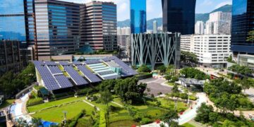 Mastering the Art of Plant Pruning: A Guide to Healthy Growth and Beautiful Blooms