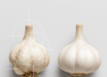 A modern infographic comparing three garlic bulb disorders: fusarium rot with decay at the base, nematode bloat with a spongy texture, and waxy breakdown with an amber-colored clove.