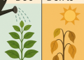 A clear graphic advising against pruning or fertilizing plants during a heat wave, showing do-not symbols over shears and a fertilizer bag.