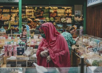 Unlocking the Secrets of Indoor Gardening: Techniques for Thriving Houseplants