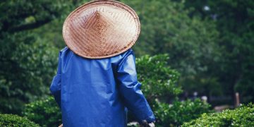 Sustainable Sanctuaries: Secrets to Eco-Friendly Gardening