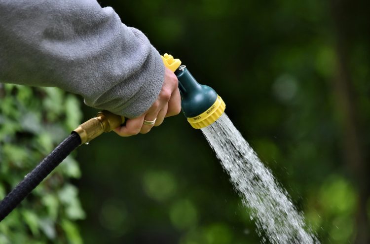 Revolutionizing Gardening: The Evolution of the Modern Watering Can