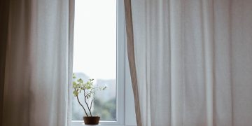 Secrets to Successful Plant Repotting