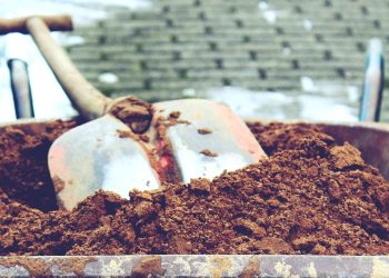 Unlocking the Secrets of Garden Gloves: Choosing the Right Pair for Every Task