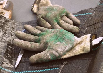 Revolutionary Garden Hoses: How New Technology is Changing Watering Practices