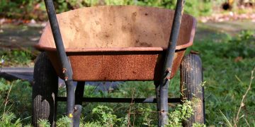 Digging Deep: Unearthing the History of Spades and Shovels
