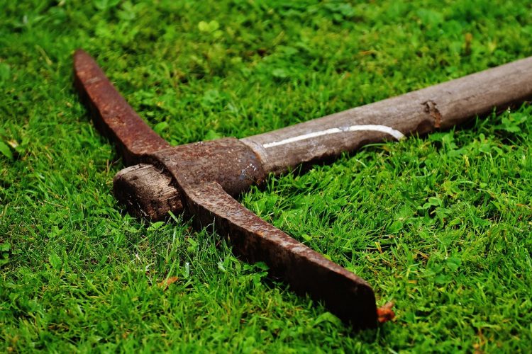 Unearth the Benefits: How the Right Garden Gloves Can Transform Your Gardening Experience