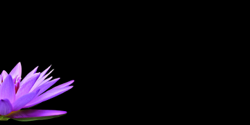 Key Strategies and Solutions