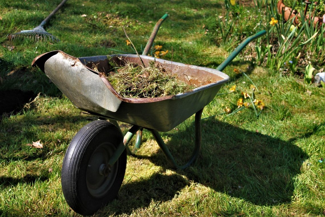 Innovations in Soil Management: Exploring Modern Tools