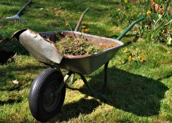 Innovations in Soil Management: Exploring Modern Tools