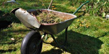 Innovations in Soil Management: Exploring Modern Tools