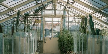 Maximizing Growth in Indoor Gardens: Secrets for Lush
