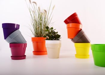 The Art of Choosing the Perfect Indoor Plant Pot