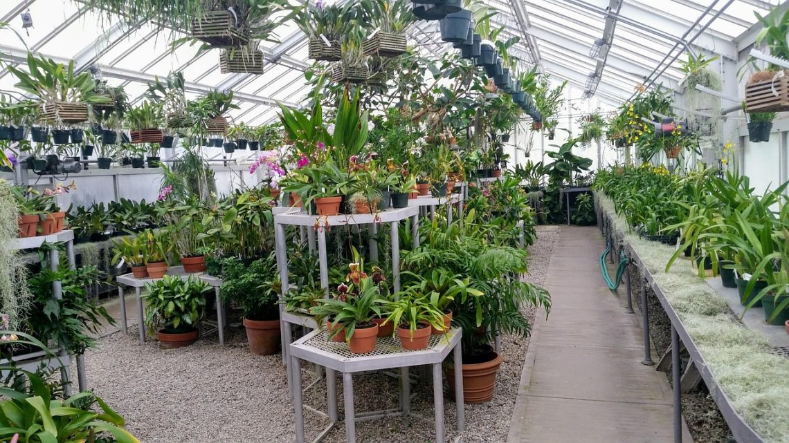 Herbal Haven: Crafting Your Own Indoor Herb Sanctuary