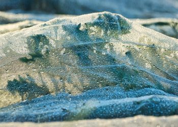 Revitalize Your Green Friends: Secrets to Successful Plant Repotting