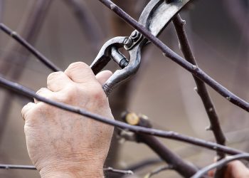 Unearthed Secrets: How Spades and Shovels Built Civilizations