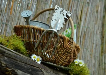 Essential Guide to Tool Kits for Every Home DIY Project