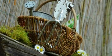 Essential Guide to Tool Kits for Every Home DIY Project