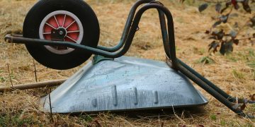 Gloves of Green: Protecting Your Hands While Nurturing Your Garden