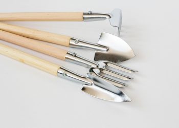 Maximizing Your Green Space: Innovative Approaches to Indoor Gardening