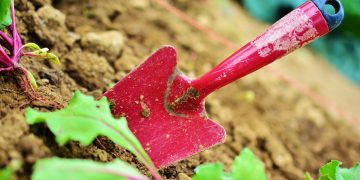 Unleash Your Green Thumb: Top Picks in Garden Equipment