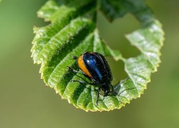 Revolutionizing Cancer Therapy: The Rise of Personalized Medicine