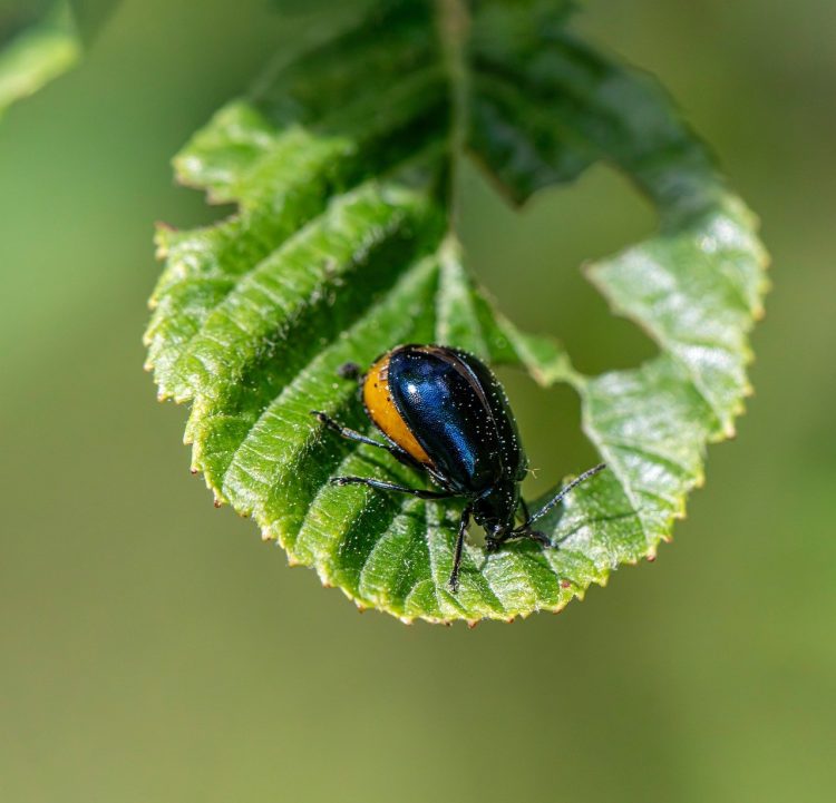 Revolutionizing Cancer Therapy: The Rise of Personalized Medicine