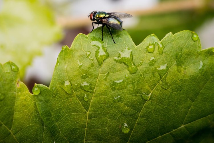 Revolutionizing Recovery: Innovations in Stroke Rehabilitation