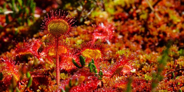 Discover the Power of Proper Lighting