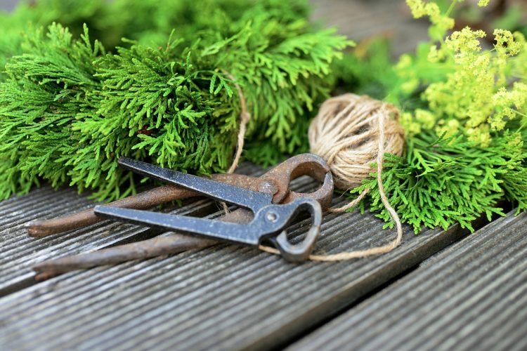 Essential Tool Kits for Every Home DIY Project