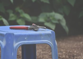 A Gardener's Touch: Selecting the Perfect Pair of Gloves