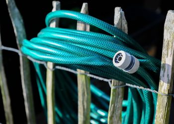 Innovative Garden Gear to Enhance Your Green Thumb