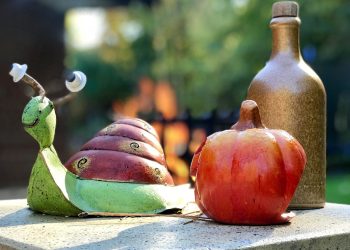 Hands in the Dirt: A Review of Top Garden Gloves for Every Task