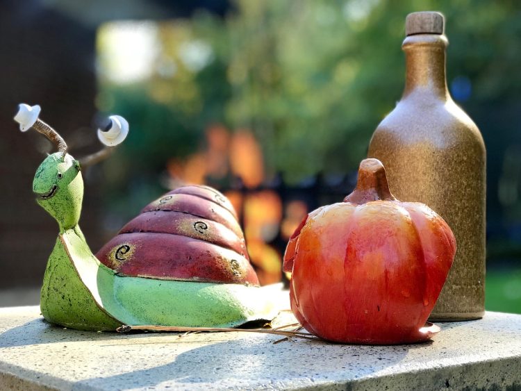 Hands in the Dirt: A Review of Top Garden Gloves for Every Task