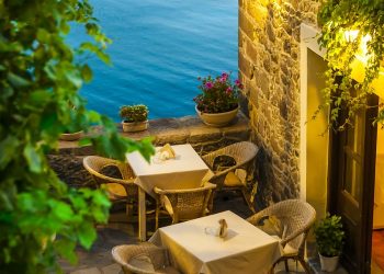 Understanding Plant Light Needs: A Guide to Optimal Growth Conditions