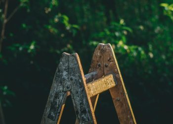 Unveiling New Efficiencies