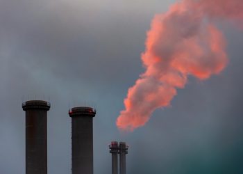 Ideal Humidity for Plant Growth: A Comprehensive Guide